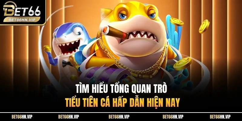 Tìm hiểu tổng quan trò Tiểu Tiên Cá hấp dẫn hiện nay 